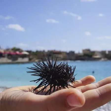 Pezula Mani Yerolimin