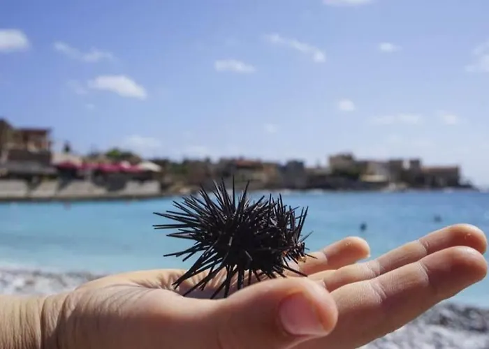 Pezula Mani Γερολιμένας